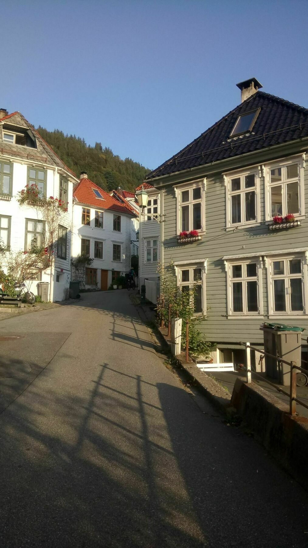 Center Villa Берген Екстериор снимка